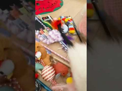ルークラン　猫用おもちゃ　わくわくセット