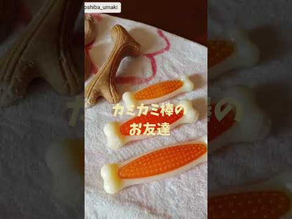 ループ　犬用おもちゃ　カフェウッド　チャンプ