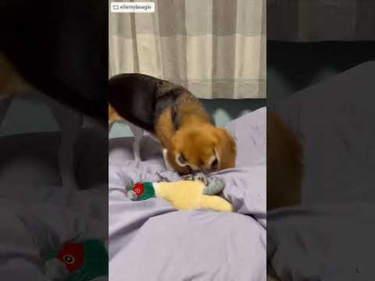 ユーゴー　犬用おもちゃ　フォレストフェザント S