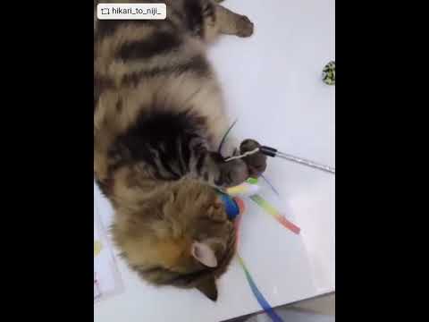 ループ 猫用おもちゃ ロッディーズ レインボースカイ – ルークラン