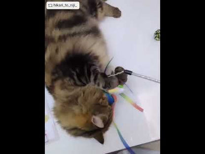 ループ　猫用おもちゃ　ロッディーズ　レインボースカイ