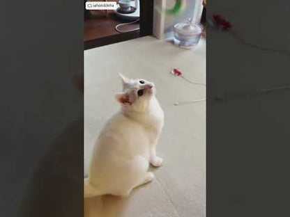 ループ　猫用おもちゃ　ロッディーズ　キラキラワーム