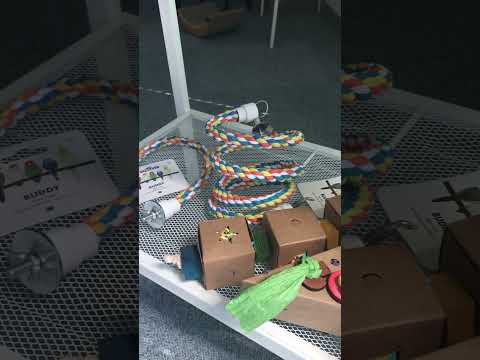 ループ　バディ　リーフカスケード