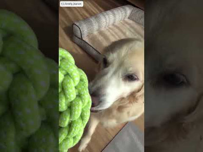 ループ　犬用おもちゃ　ノッティー　ビッグリング