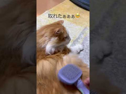 ループビューティー　フリーアグルーム　