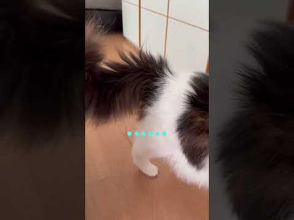 ループ　猫用おもちゃ　ライト　マーブルボール
