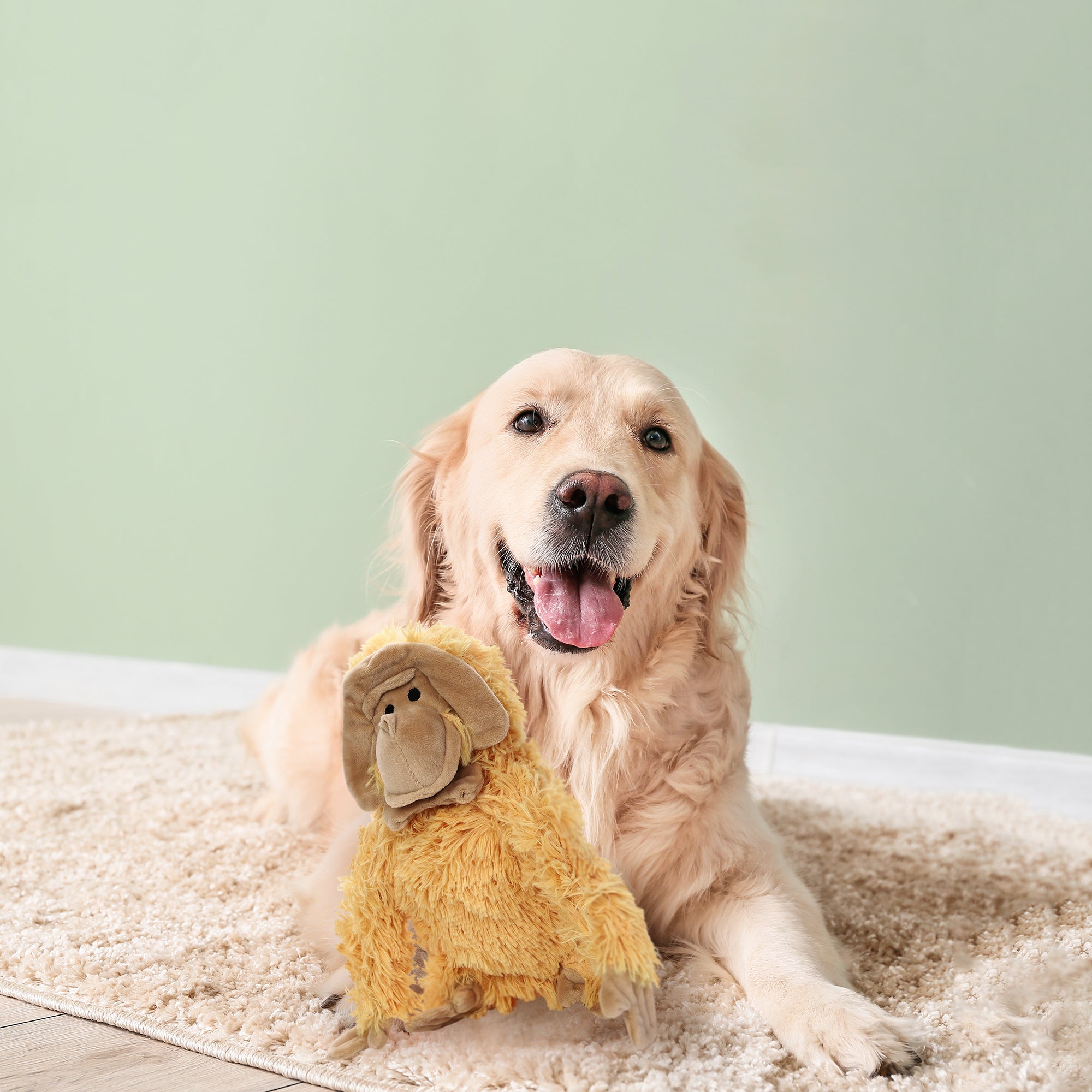 ループ 犬用おもちゃ フレンディ オランウータン – ルークランオンライン