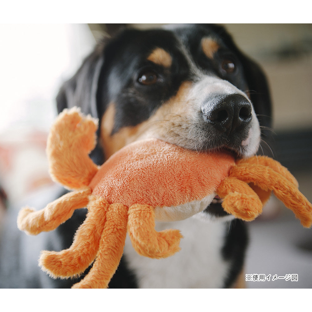 プレイ　犬用おもちゃ　アンダーザシー