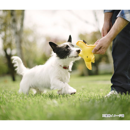プレイ　犬用おもちゃ　アンダーザシー