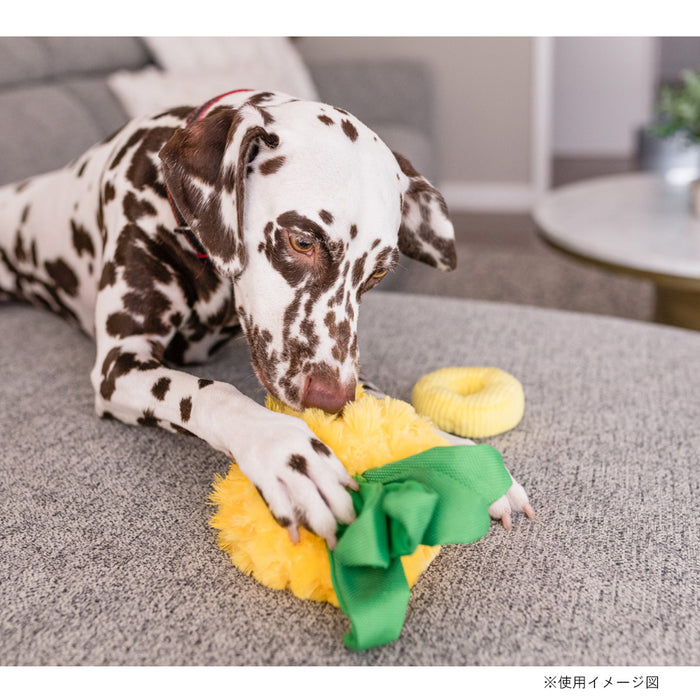 プレイ　犬用おもちゃ　トロピカルパラダイス