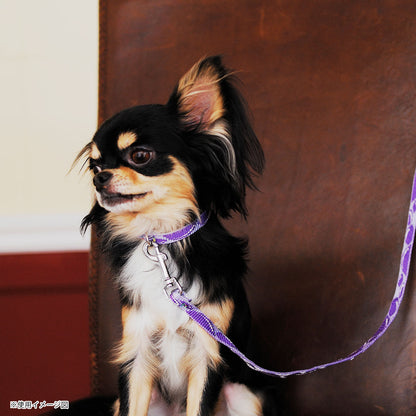 レマタンコカン　犬用首輪　バブルズ(バイオレット)XS