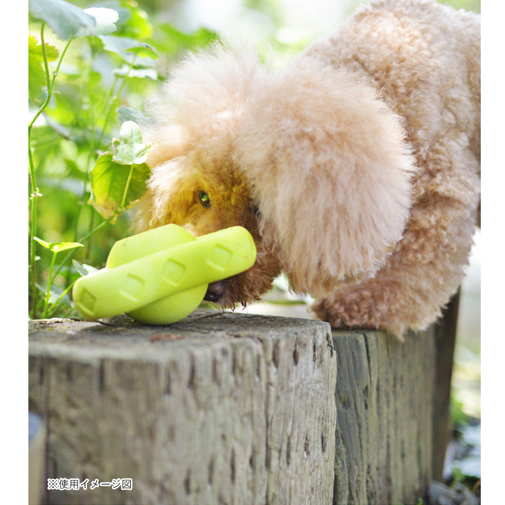 ループ　犬用おもちゃ　ハウンズ　ブーマー