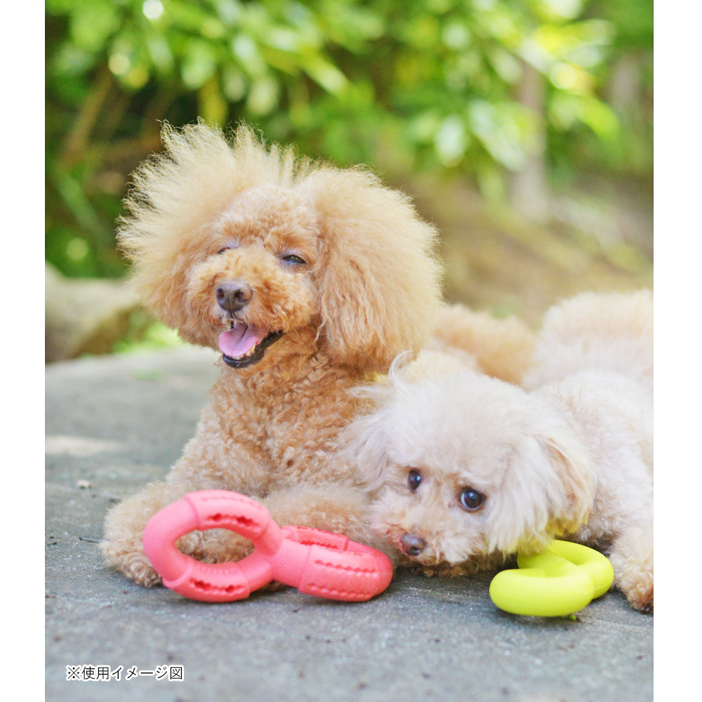 ループ　犬用おもちゃ　ハウンズ　ツイスト