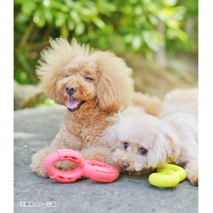 ループ　犬用おもちゃ　ハウンズ　ツイスト