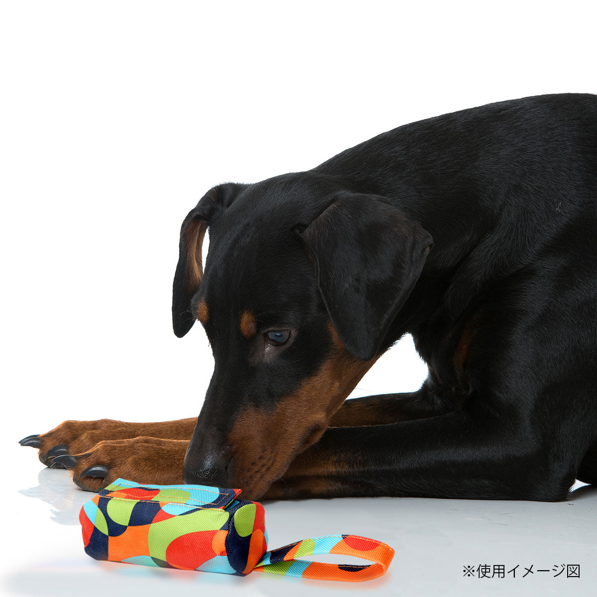 ループ　犬用おもちゃ　ヴァリー　スナックダミー