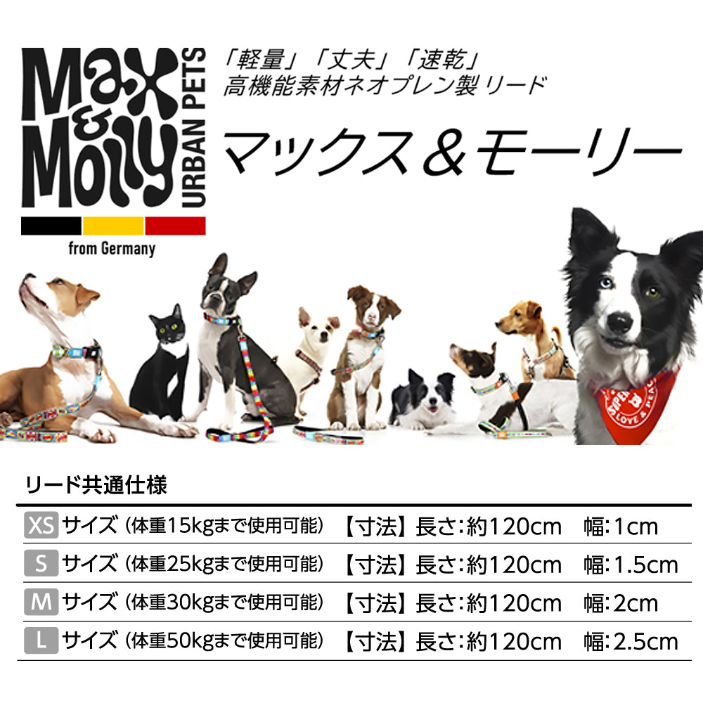 マックスアンドモーリー 犬用リード カラフルブロック – ルークラン