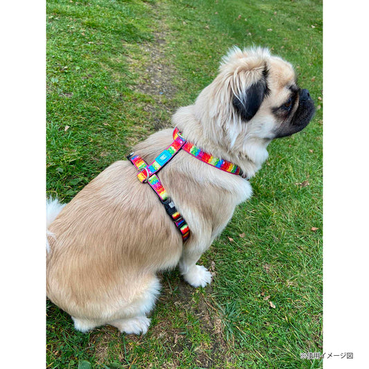 マックスアンドモーリー　ハーネス　ジェリーベアー