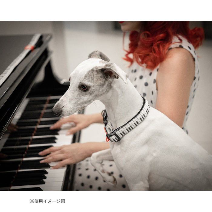 マックスアンドモーリー　犬用首輪　スマートIDタグ付き　ピアノ