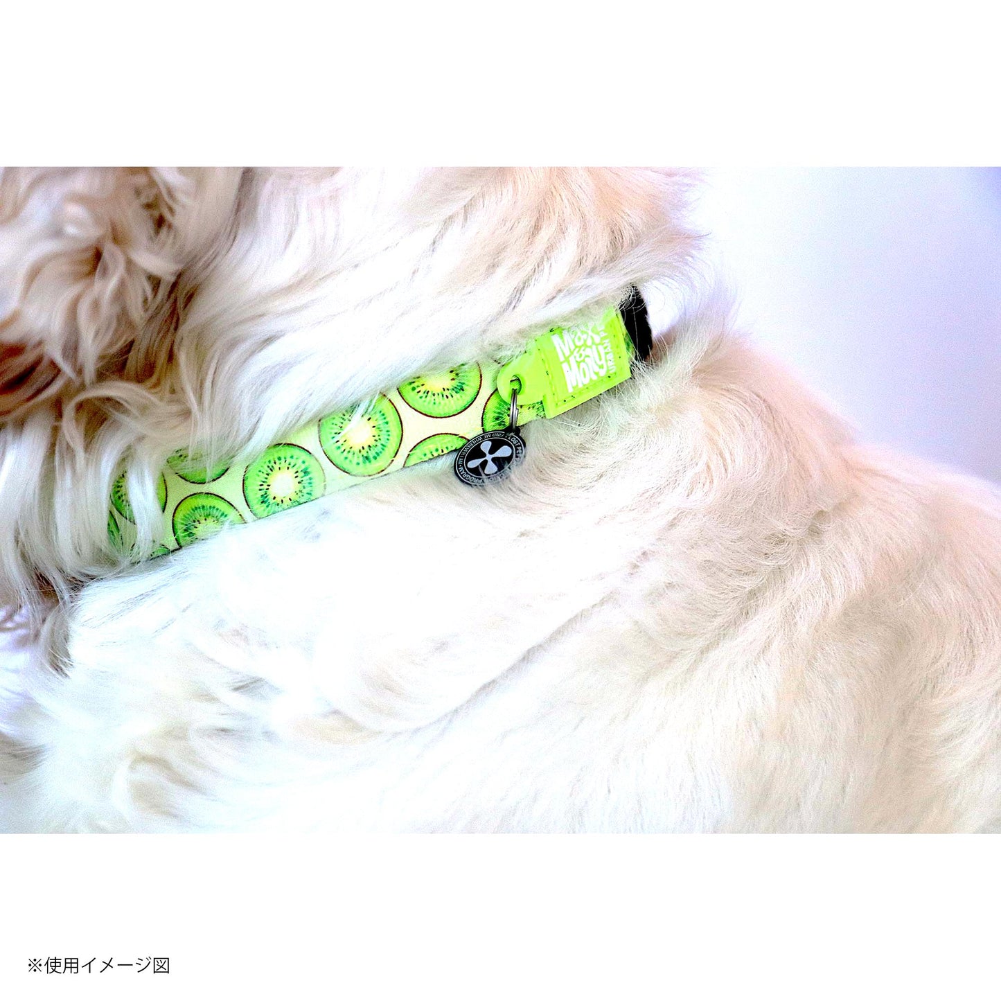 マックスアンドモーリー　犬用首輪　スマートIDタグ付き　キウイ🥝