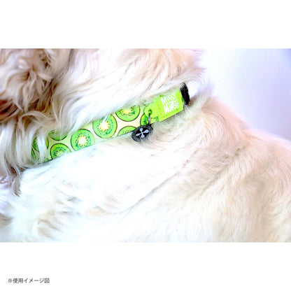 マックスアンドモーリー　犬用首輪　スマートIDタグ付き　キウイ🥝