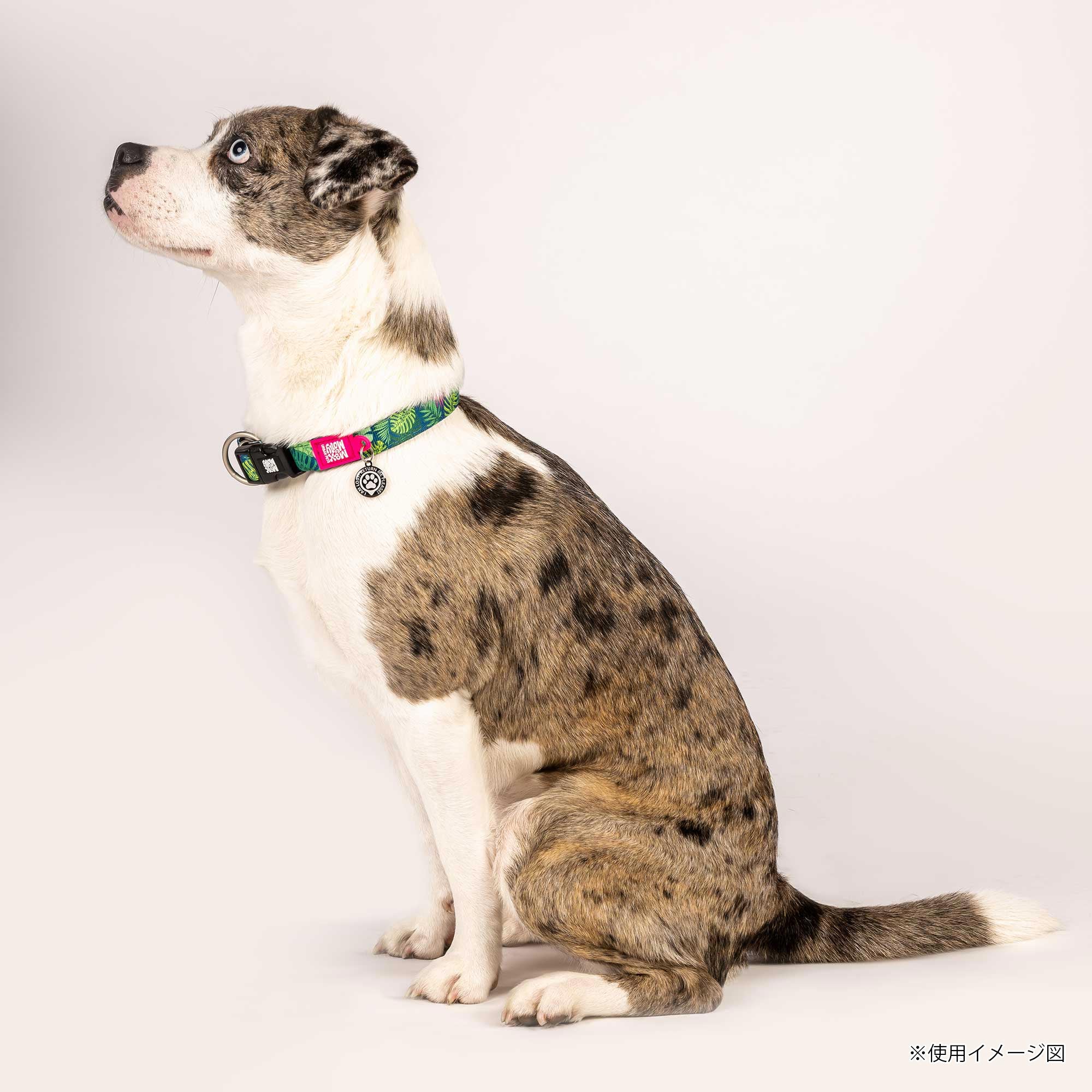 マックスアンドモーリー 犬用首輪 スマートIDタグ付き トロピカル