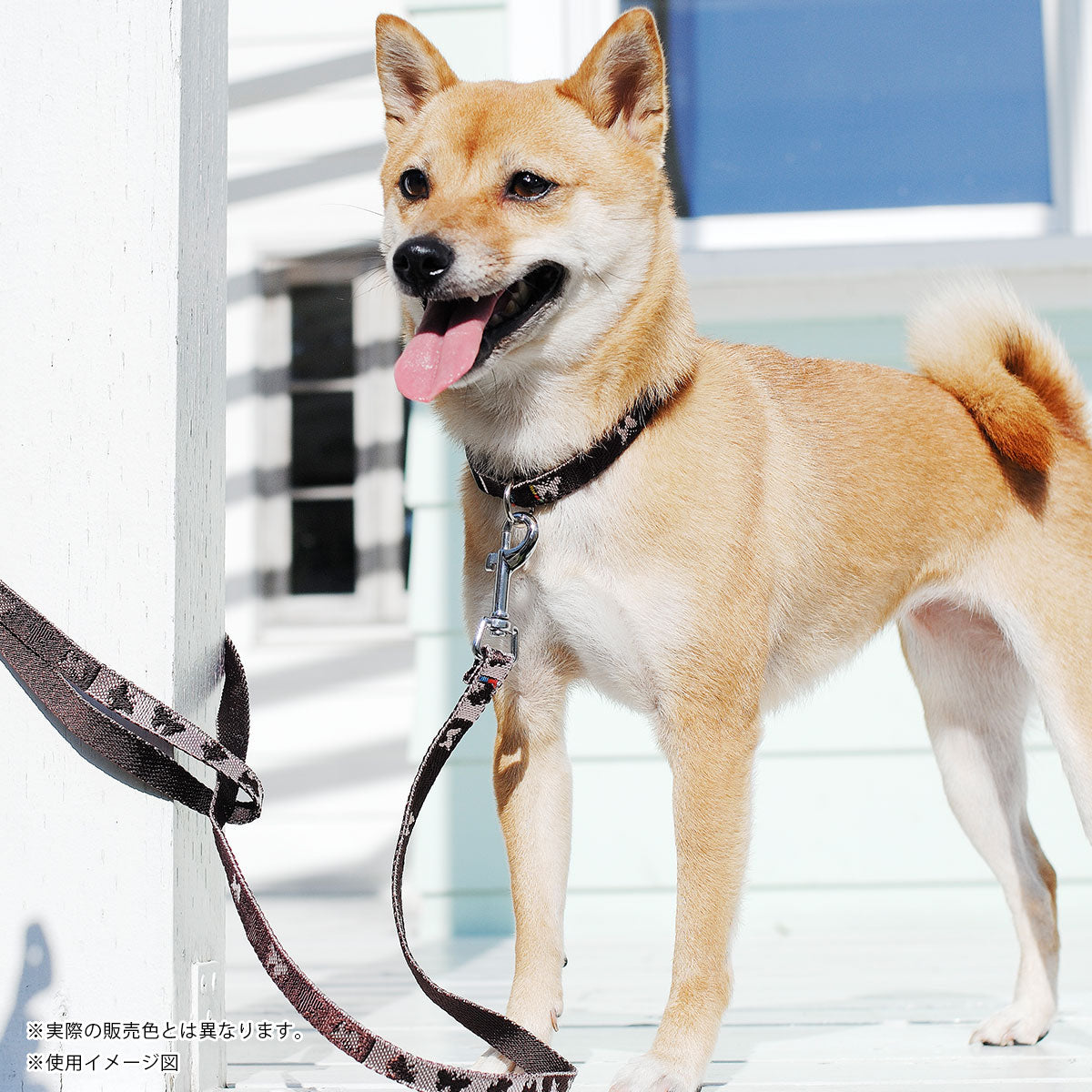 レマタンコカン　犬用リード　バタフライ(オレンジ)