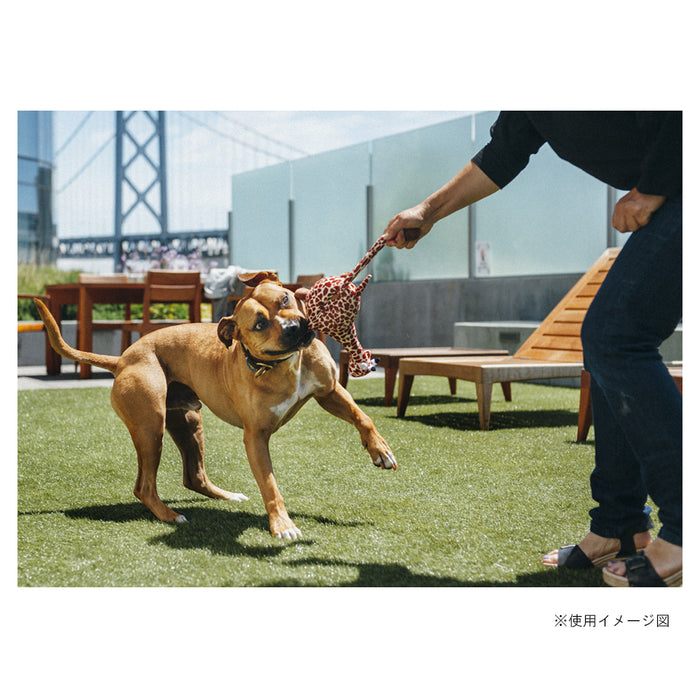 プレイ　犬用おもちゃ　サファリ