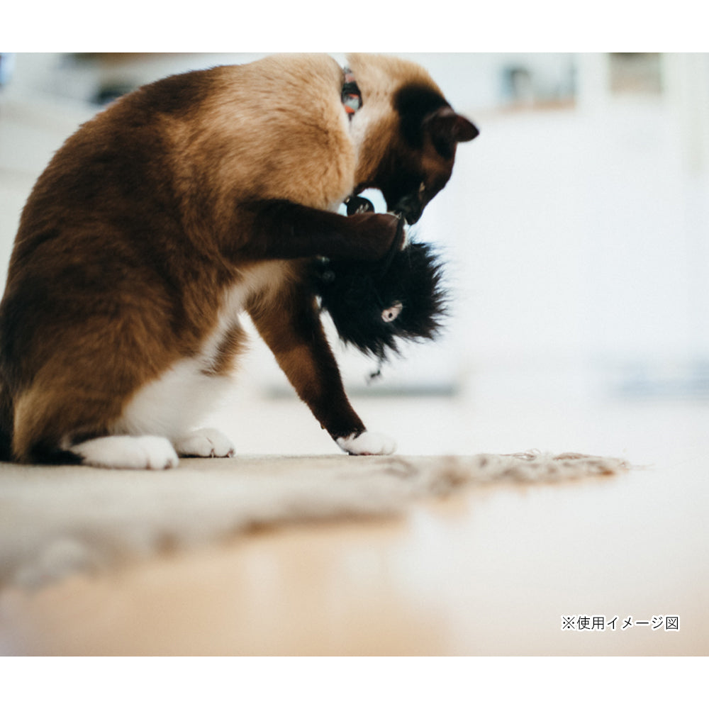 プレイ　猫用おもちゃ　フィーラインフレンジー　フリスキーボール