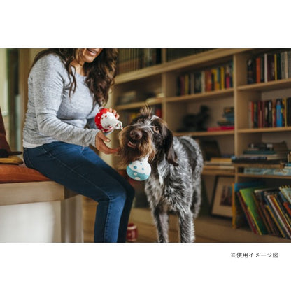 プレイ　犬用おもちゃ　バックトゥースクール