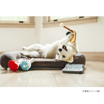 プレイ　犬用おもちゃ　バックトゥースクール