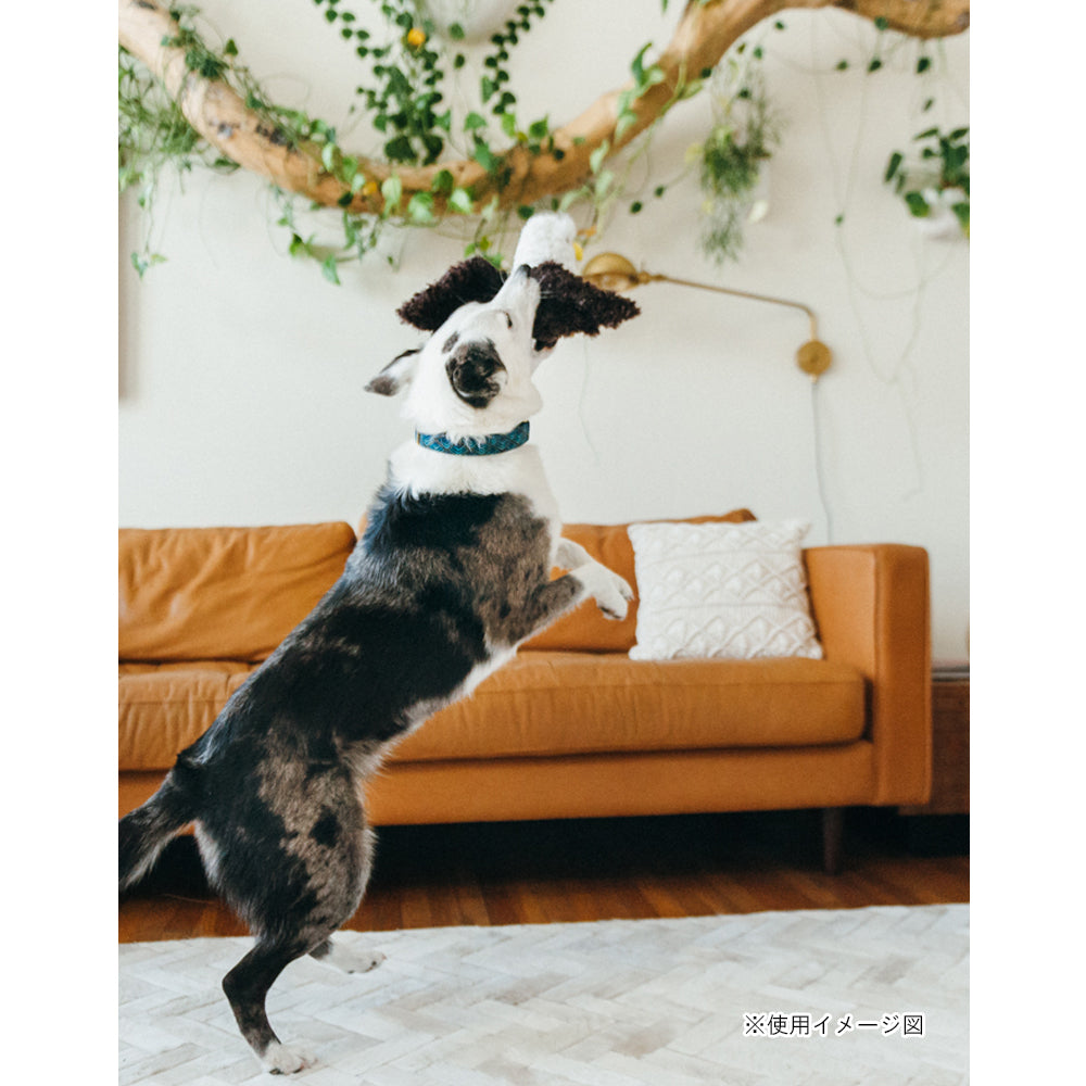 プレイ　犬用おもちゃ　フェッチングフロック