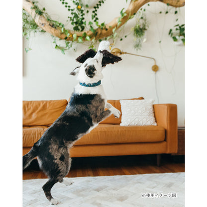 プレイ　犬用おもちゃ　フェッチングフロック