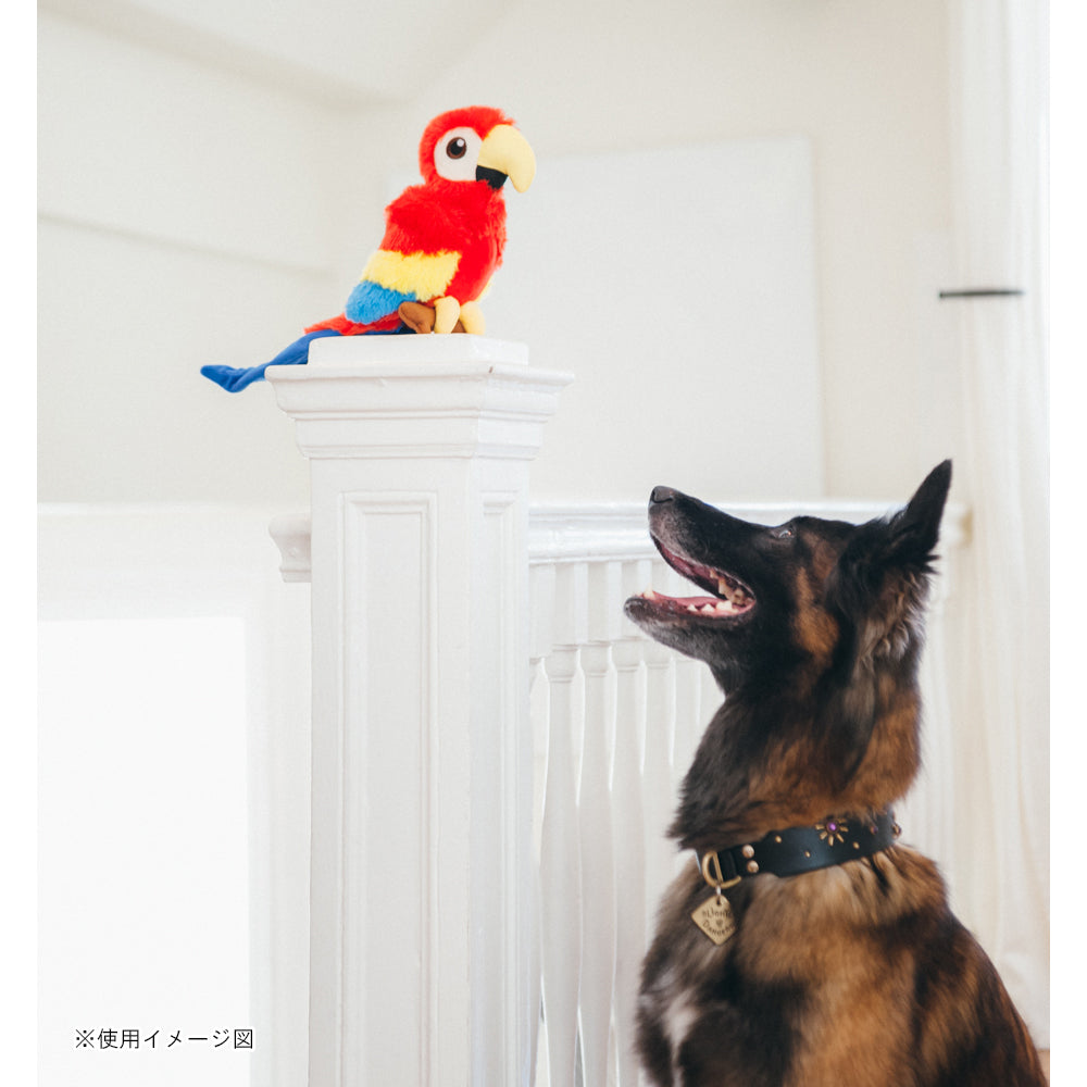 プレイ　犬用おもちゃ　フェッチングフロック