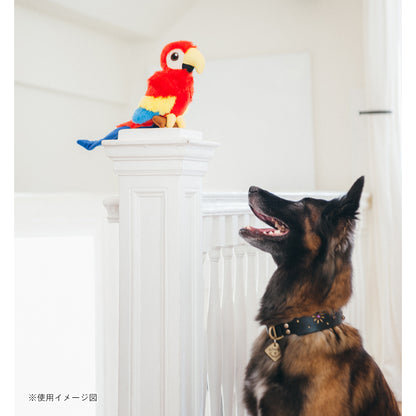 プレイ　犬用おもちゃ　フェッチングフロック