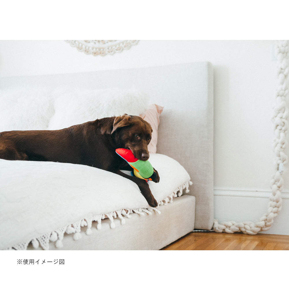 プレイ　犬用おもちゃ　フェッチングフロック