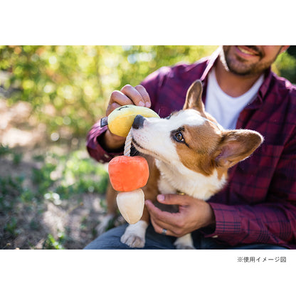 プレイ　犬用おもちゃ　ハウリングホーン