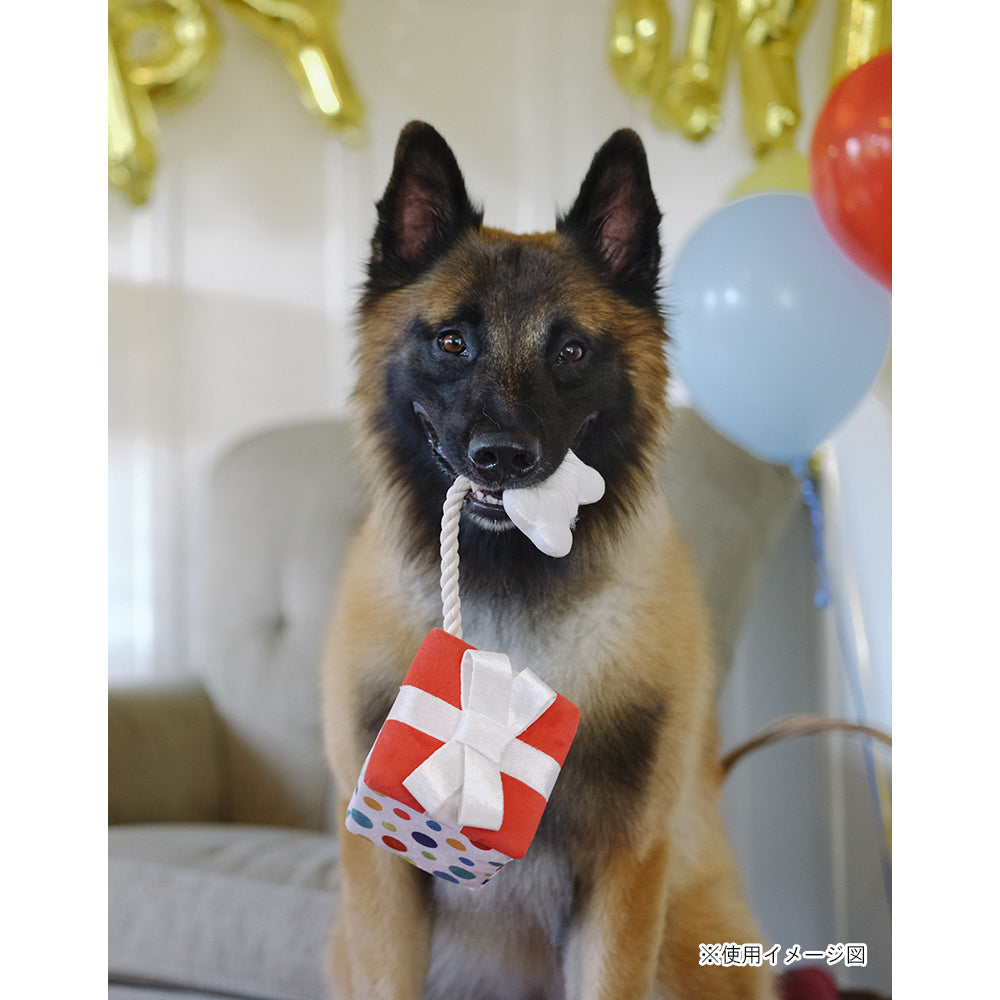 プレイ　犬用おもちゃ　パーティータイム