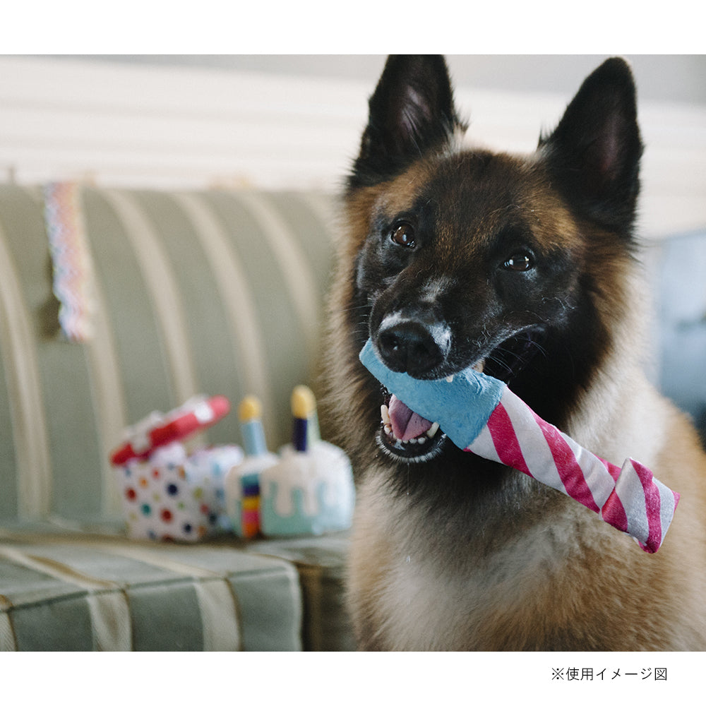 プレイ　犬用おもちゃ　パーティータイム