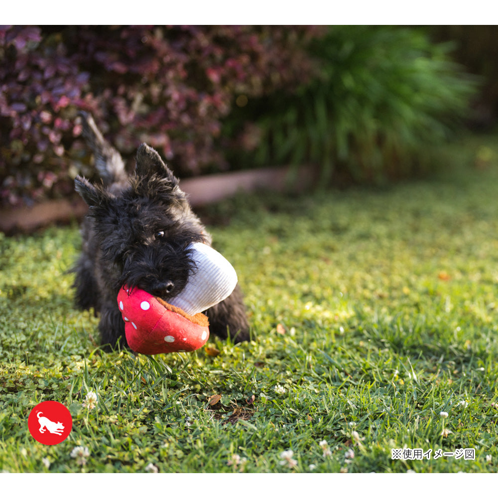 プレイ　犬用おもちゃ　ブルーミングバディーズ
