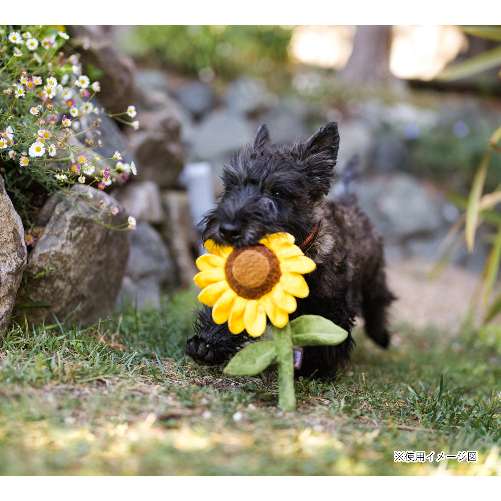 プレイ　犬用おもちゃ　ブルーミングバディーズ