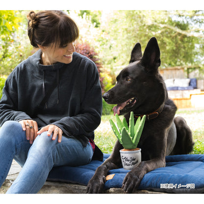 プレイ　犬用おもちゃ　ブルーミングバディーズ