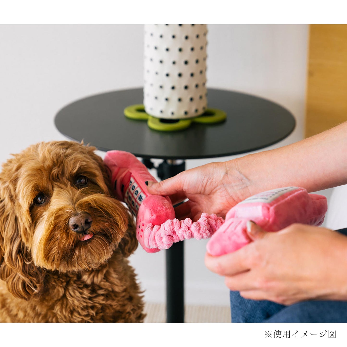 プレイ　犬用おもちゃ　80’sクラシック