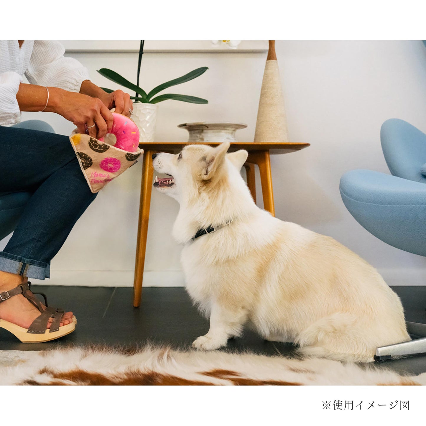 プレイ　犬用おもちゃ　パップ カップ カフェ