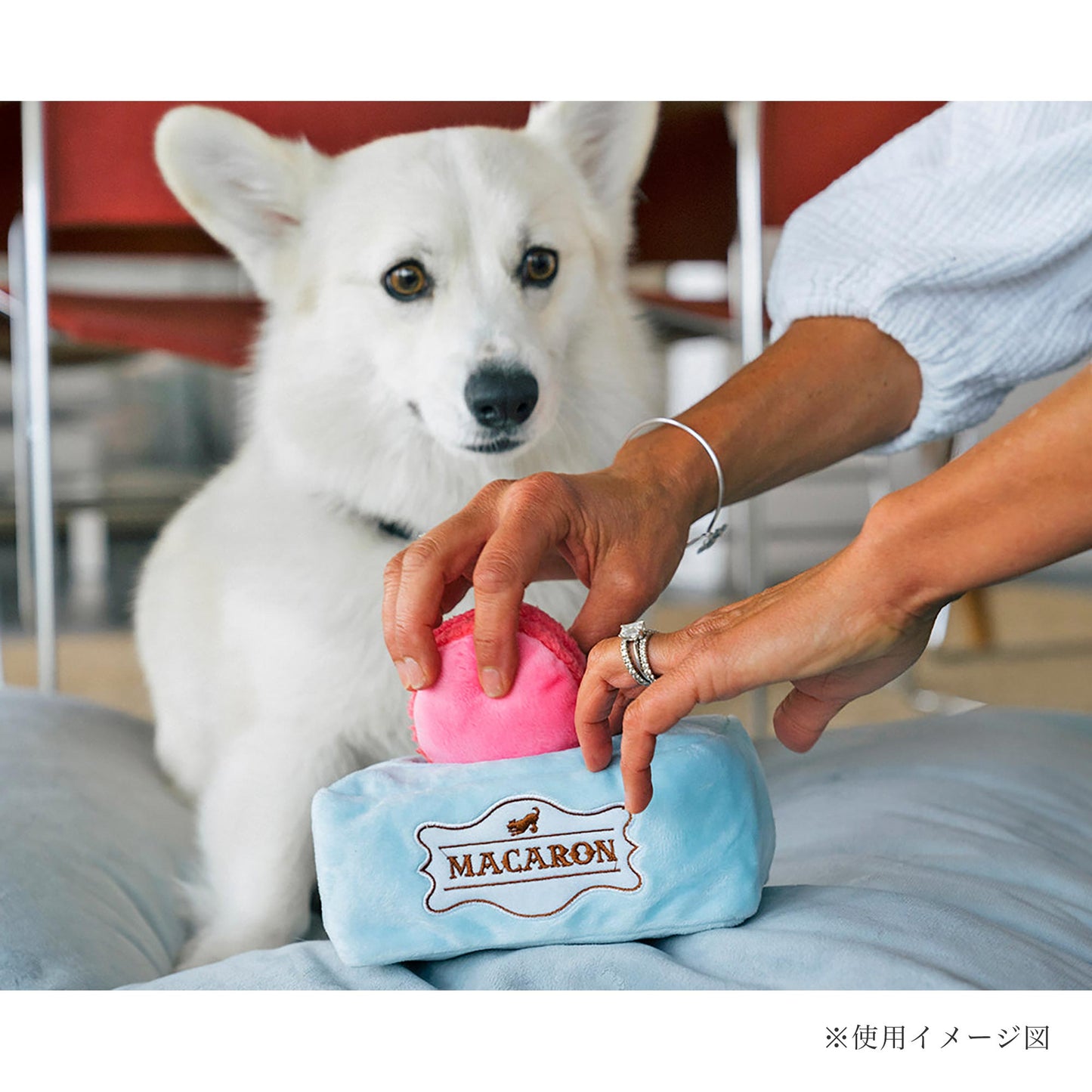 プレイ　犬用おもちゃ　パップ カップ カフェ