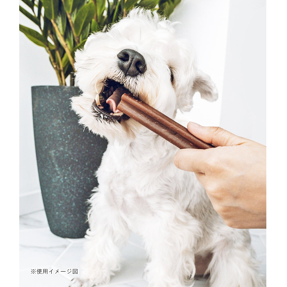 グディーズ デンタルバー ベーコンフレーバー – ルークランオンライン