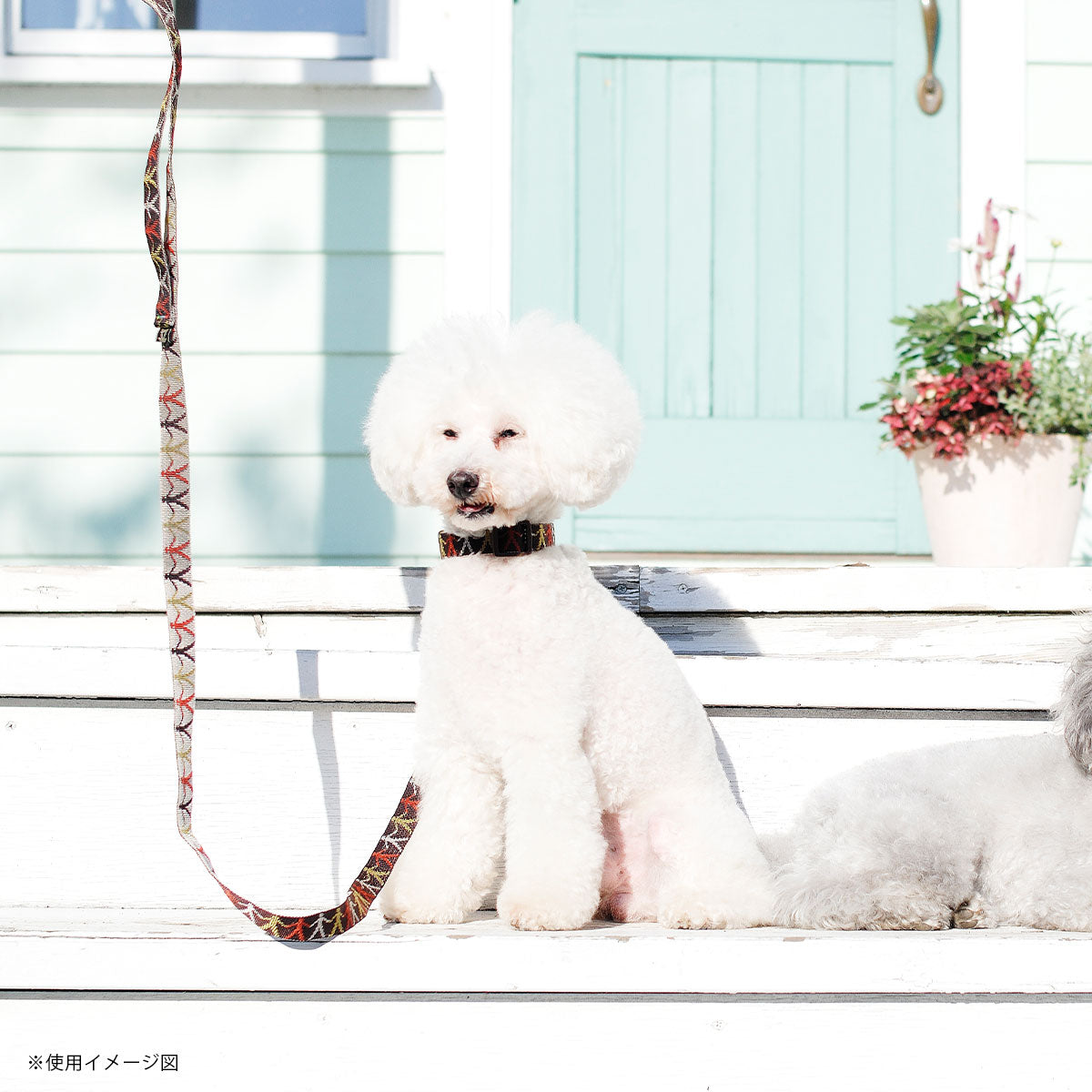 レマタンコカン 犬用リード ファランドール(ブラウン＆クリーム) S