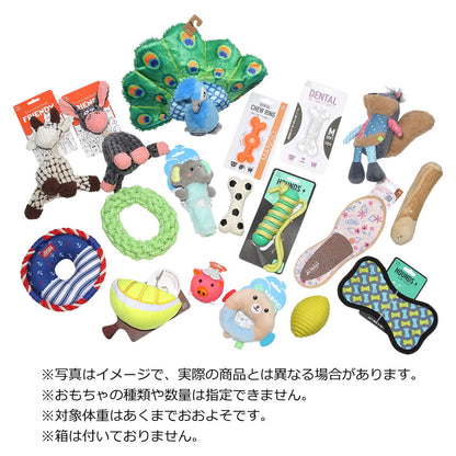 ルークラン　犬用おもちゃ　わくわくセット